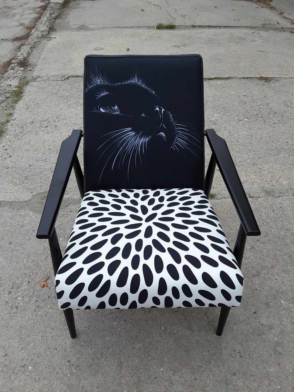 Polnischer 60er Jahre Sessel, neu gepolstert, schwarzes Holzgestell matt, schwarze Rückenlehne mit einem Katzenmuster, Sitz mit einem schwarz-weiß gefleckten Muster, Frontalansicht