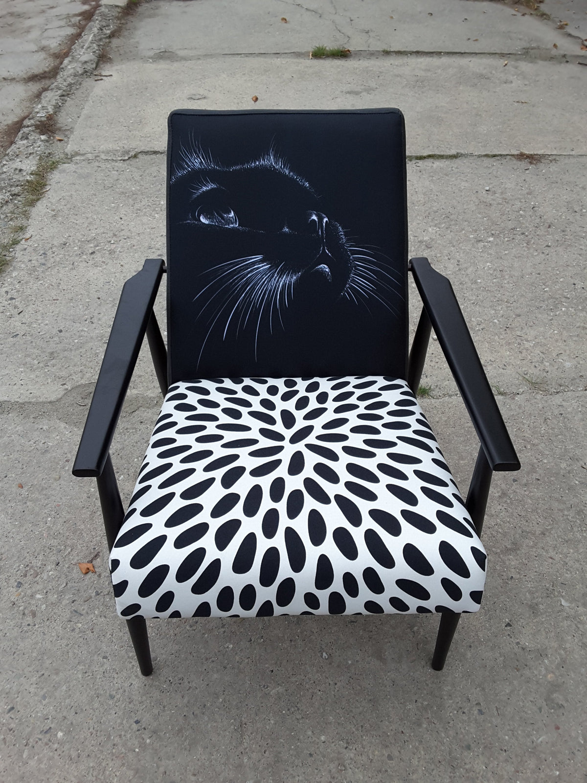 Polnischer 60er Jahre Sessel, neu gepolstert, schwarzes Holzgestell matt, schwarze Rückenlehne mit einem Katzenmuster, Sitz mit einem schwarz-weiß gefleckten Muster, Frontalansicht